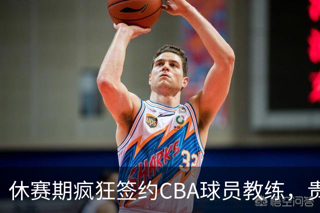 休赛期疯狂签约CBA球员教练，贵州猛龙一掷千金剑指CBA