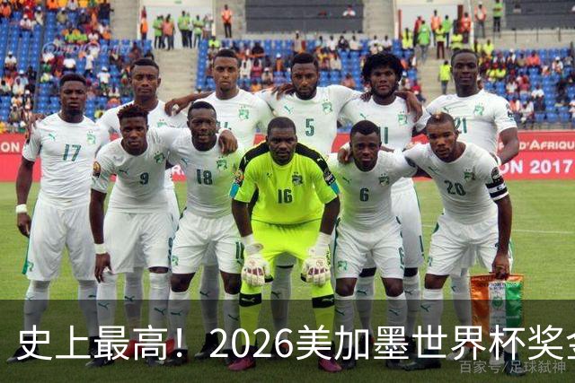 史上最高！2026美加墨世界杯奖金具体分配一览
