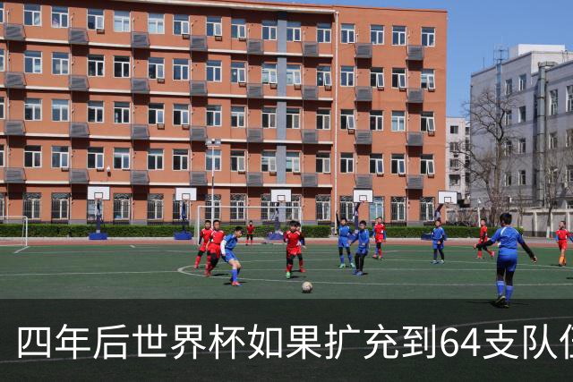 四年后世界杯如果扩充到64支队伍，中国队能上场吗？