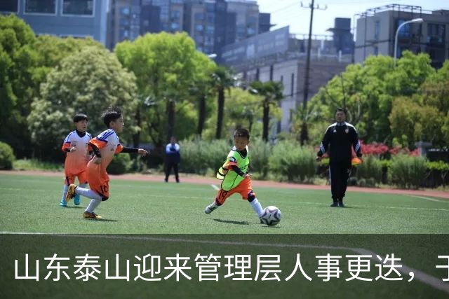 山东泰山迎来管理层人事更迭，于金永单场三扑点球封神，夏窗六离队零引援，豪门吸引力不复从前