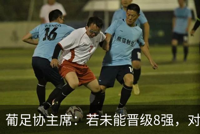 葡足协主席：若未能晋级8强，对葡萄牙来说将是糟糕的世界杯之旅