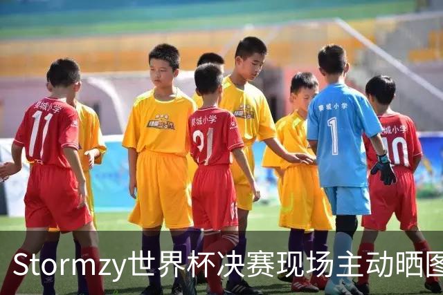 Stormzy世界杯决赛现场主动晒图 曼联新客场球衣遭泄露